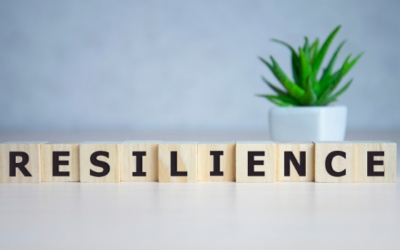 What is Resilience?: A Bible Study Series