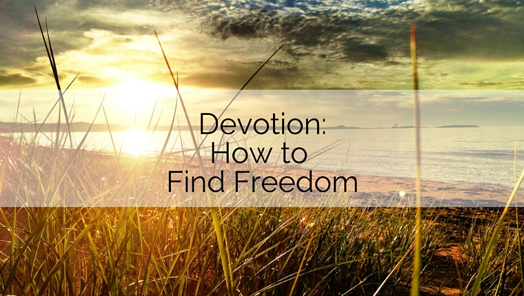 How to Find Freedom