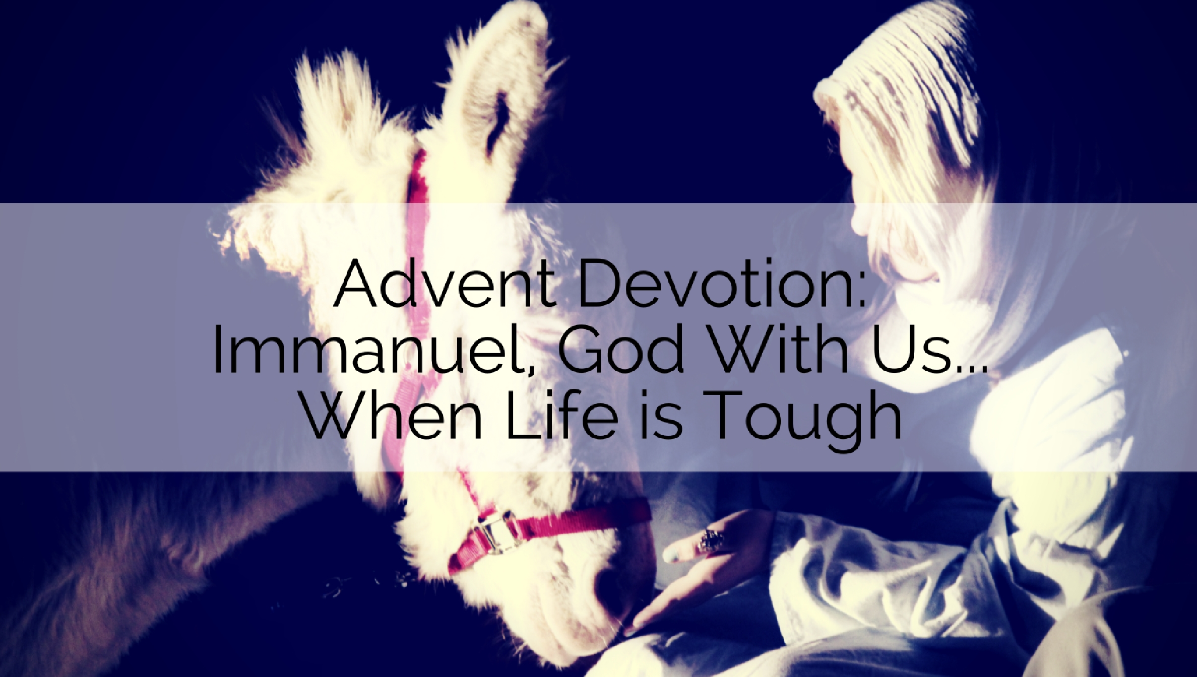 Devotion: Immanuel, God with Us…When Life is Tough